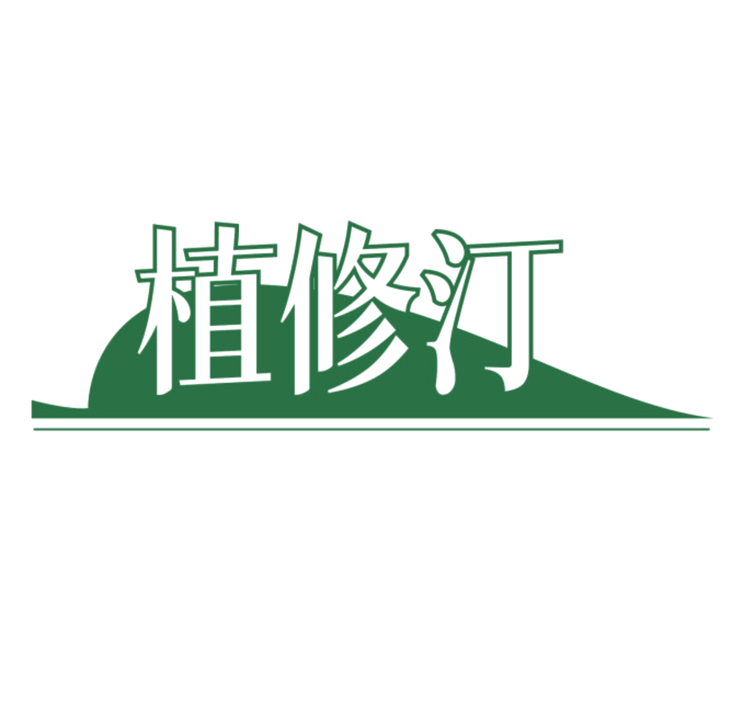 植修汀 第10类医疗器械 注册号84273301商标图样