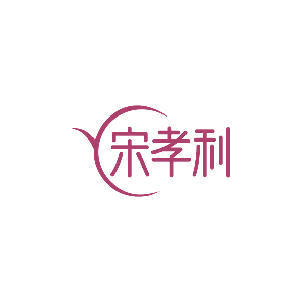 宋孝利 第25类服装鞋帽 注册号84296601商标图样