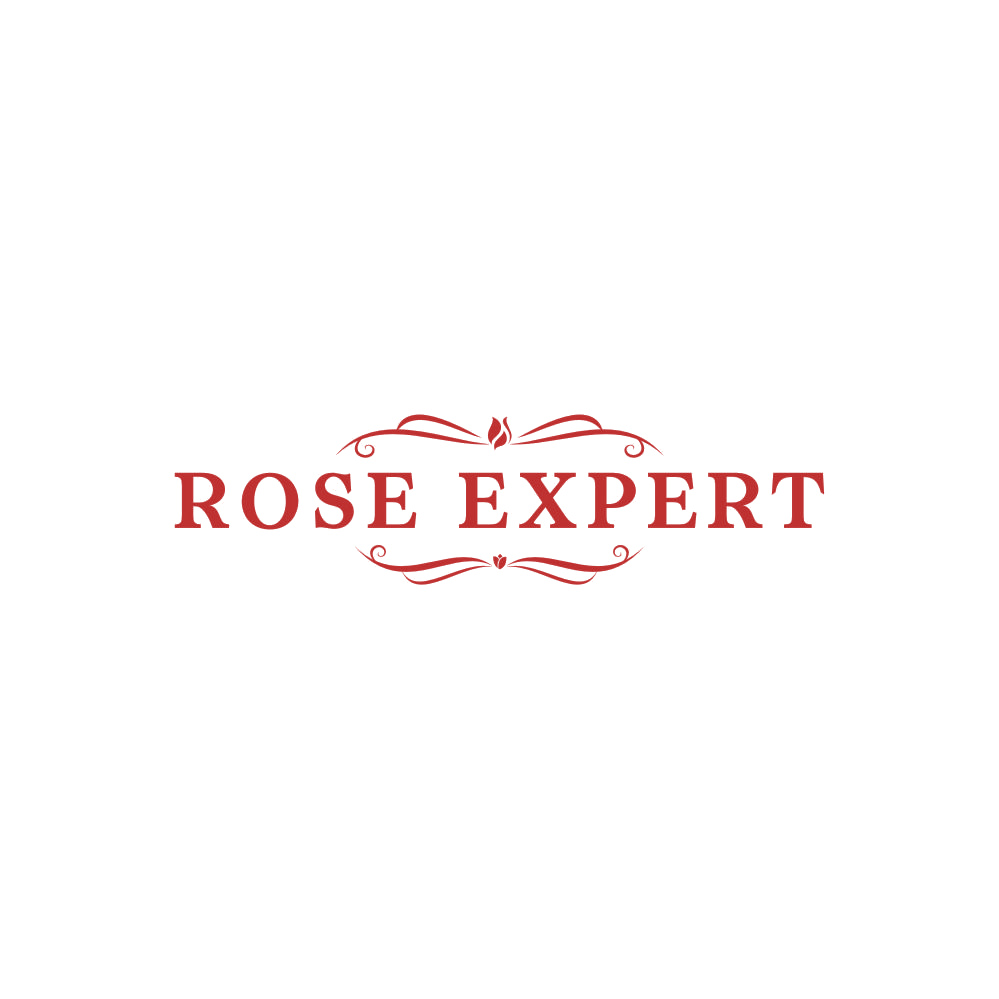 ROSE EXPERT 第25类服装鞋帽 注册号84307652商标图样
