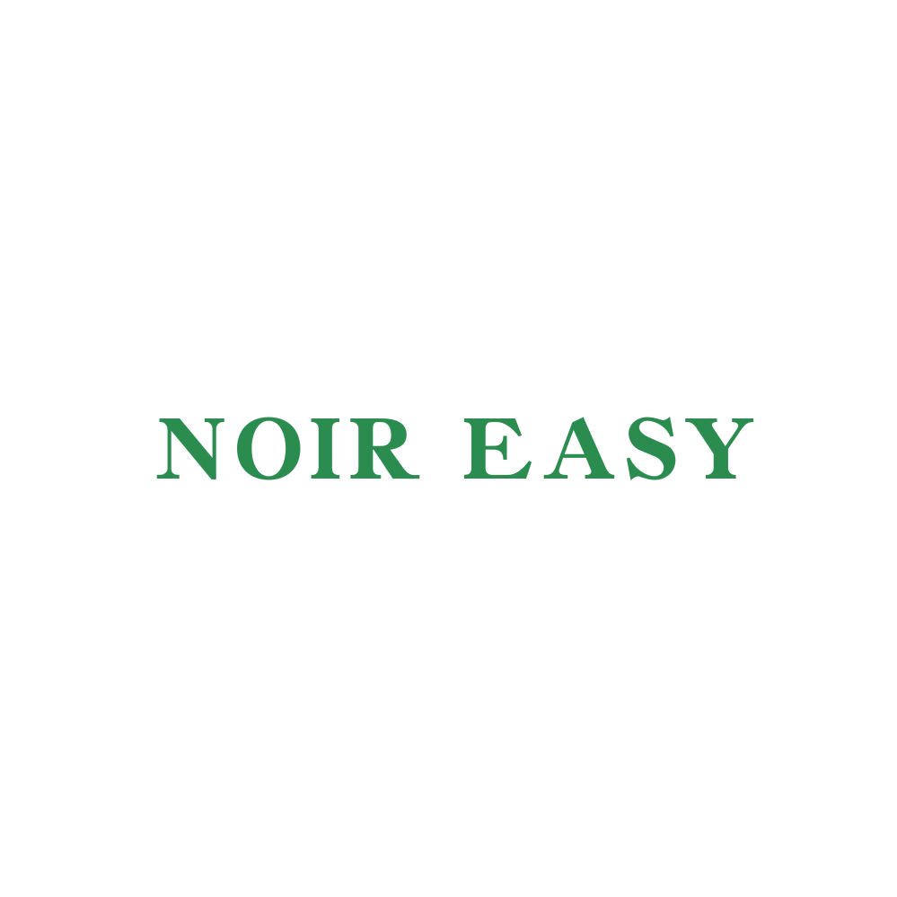 NOIR EASY 第25类服装鞋帽 注册号84393095商标图样