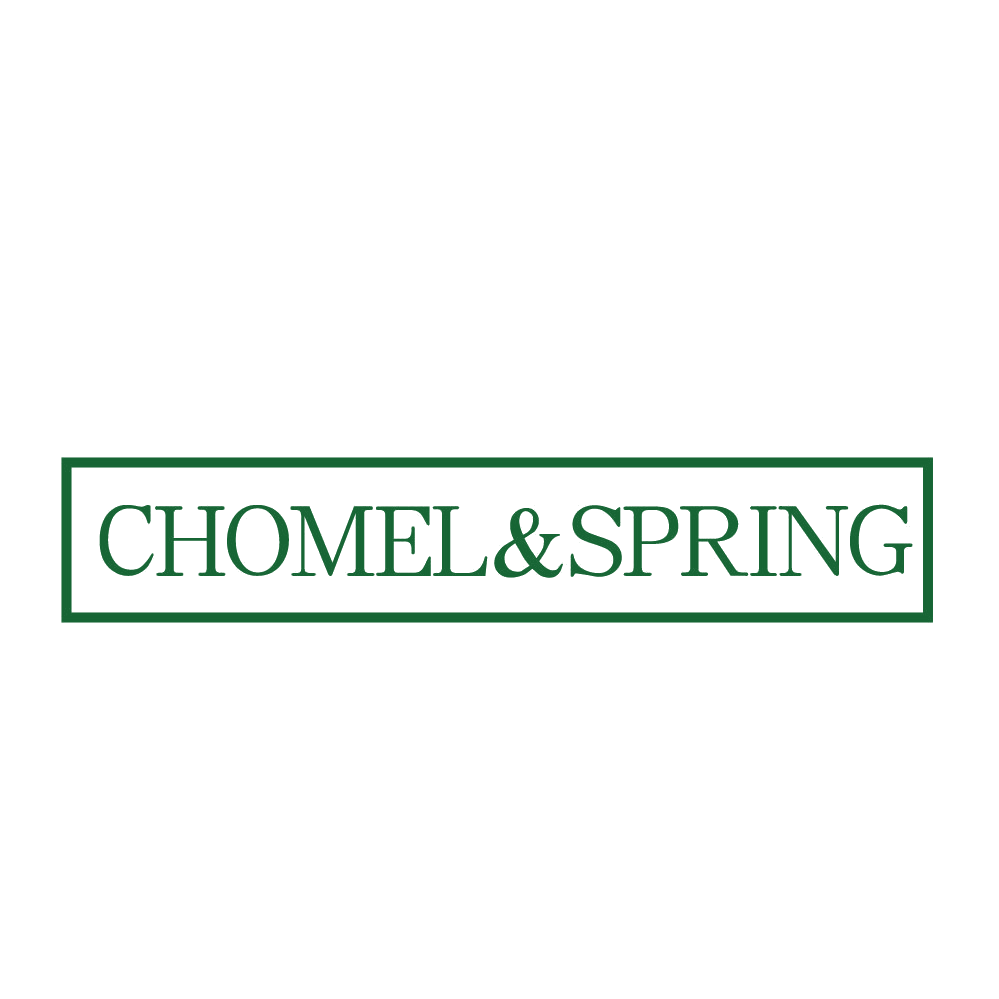 CHOMEL&SPRING 第25类服装鞋帽 注册号84703713商标图样
