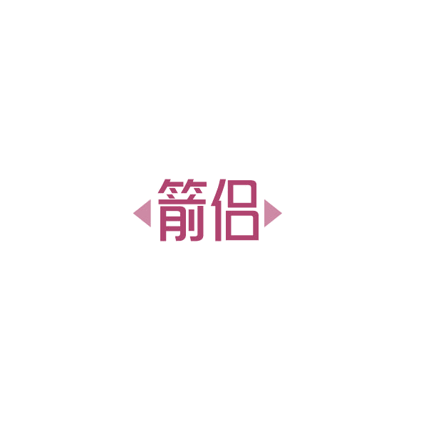 箭侣 第12类运输工具 注册号84788533商标图样