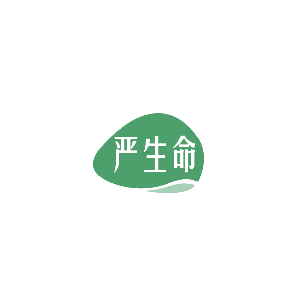 严生命 第10类医疗器械 注册号84842994商标图样