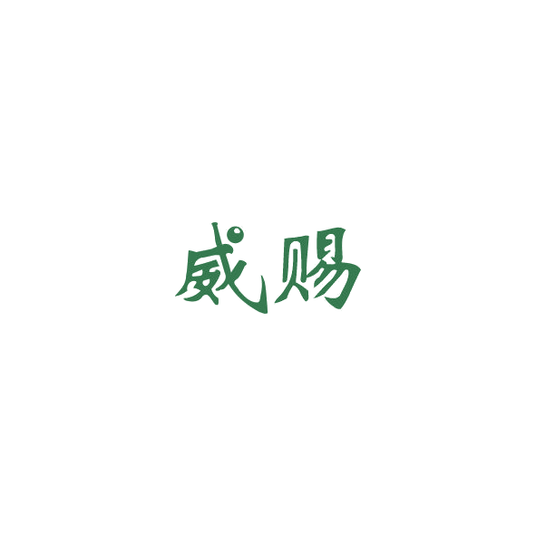威赐 第32类啤酒饮料 注册号84977506商标图样