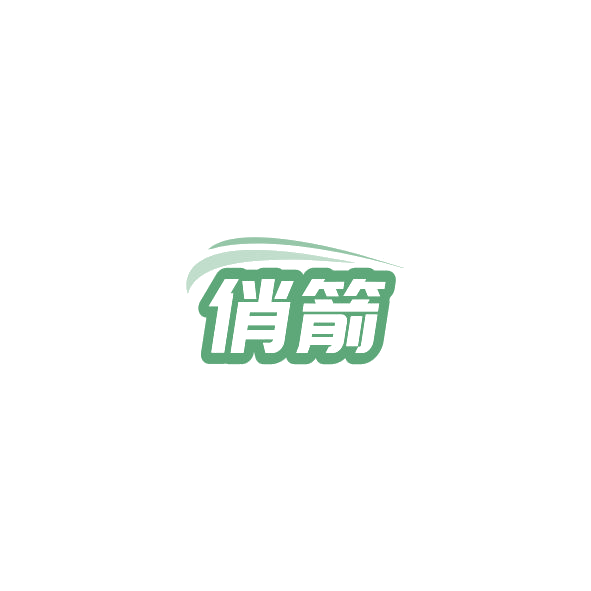 俏箭 第12类运输工具 注册号84985145商标图样