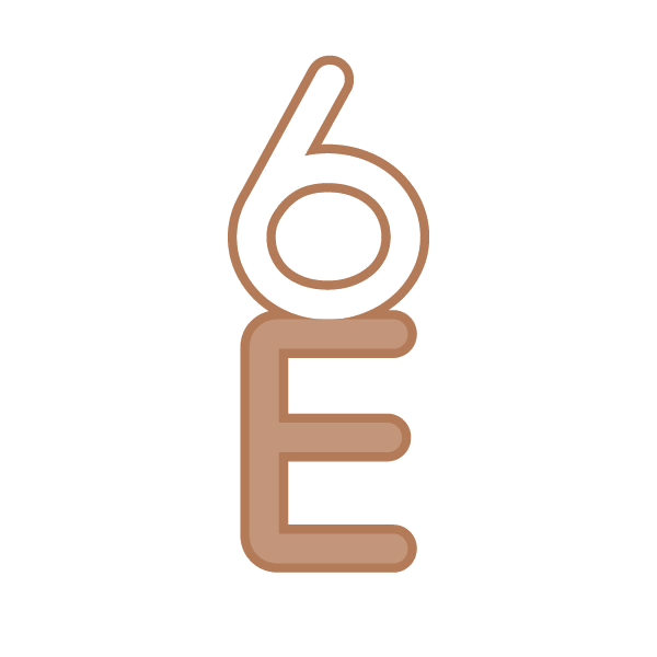 6E 第3类日化用品 注册号84996281商标图样