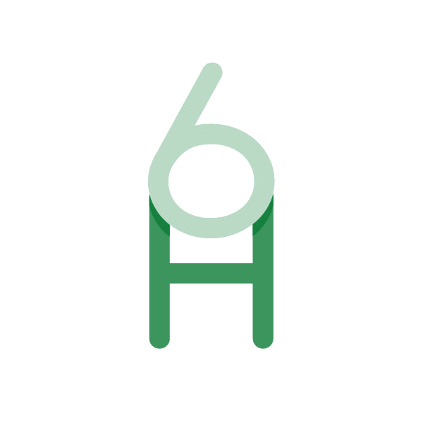 6H 第3类日化用品 注册号85018669商标图样