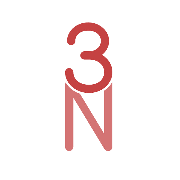 3N 第18类皮革皮具 注册号85048566商标图样