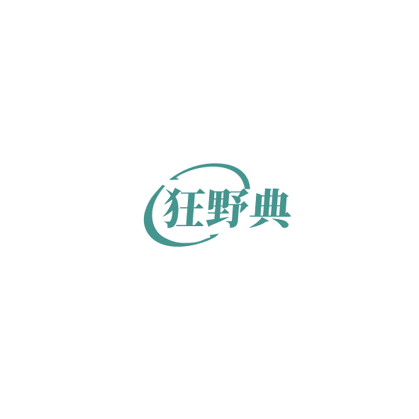 狂野典 第9类科学仪器 注册号85184684商标图样