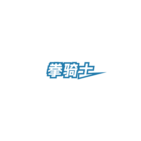 拳骑士 第9类科学仪器 注册号85199091商标图样