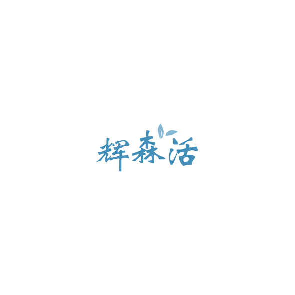 辉森活 第9类科学仪器 注册号85209985商标图样
