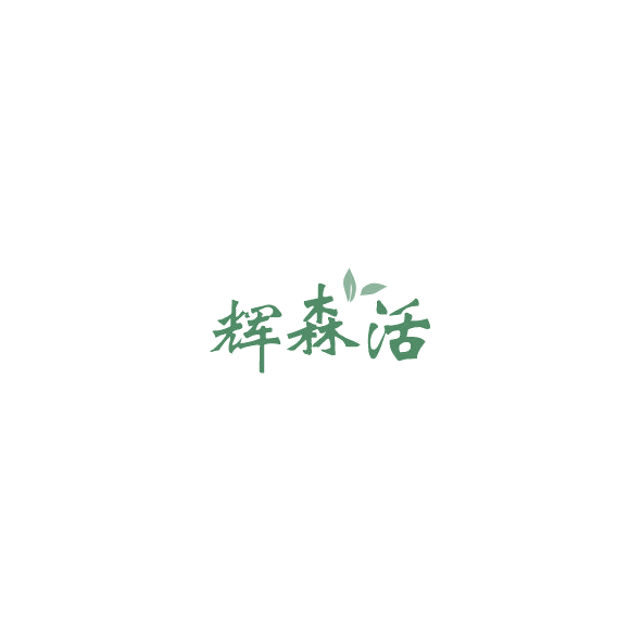 辉森活 第19类建筑材料 注册号85212578商标图样