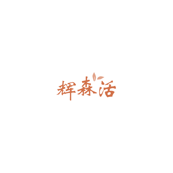 辉森活 第20类家具 注册号85212580商标图样