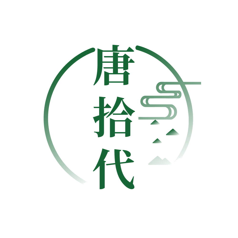 唐拾代 第25类服装鞋帽 注册号85495284商标图样