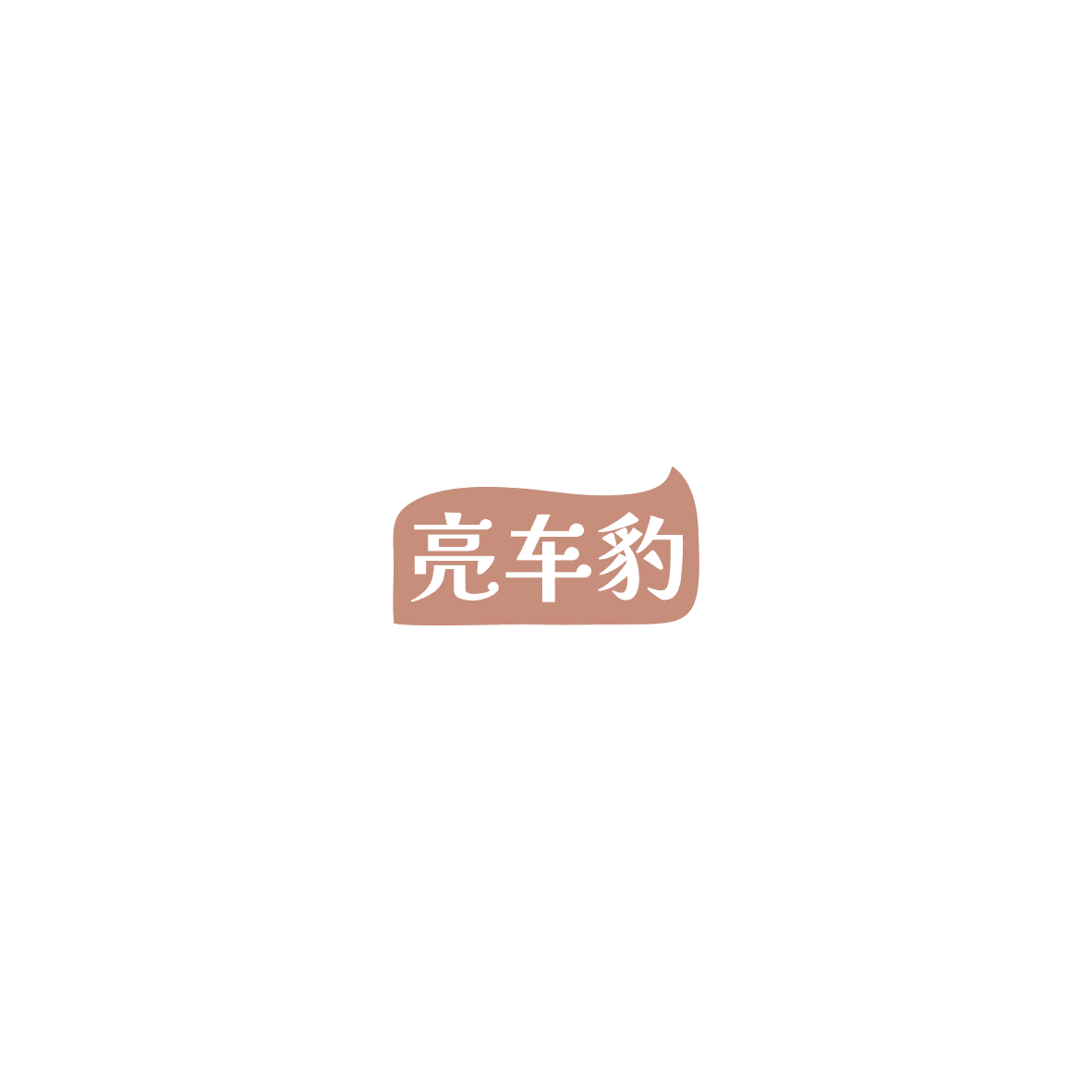 亮车豹 第37类建筑修理 注册号85520156商标图样