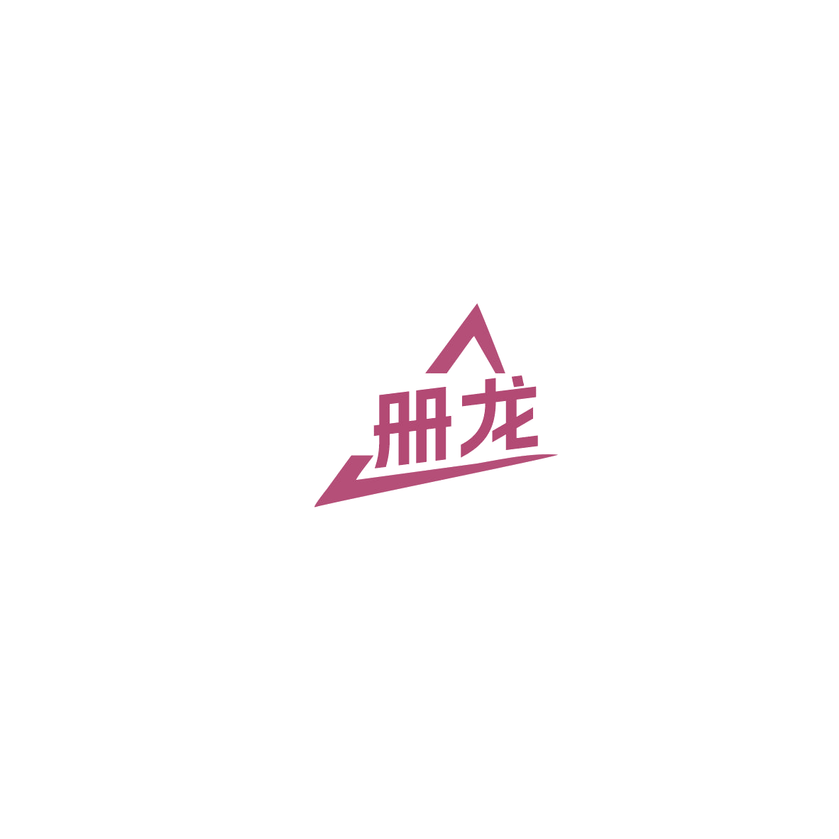 册龙 第9类科学仪器 注册号85721919商标图样