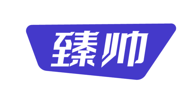 臻帅 第9类科学仪器 注册号85881288商标图样