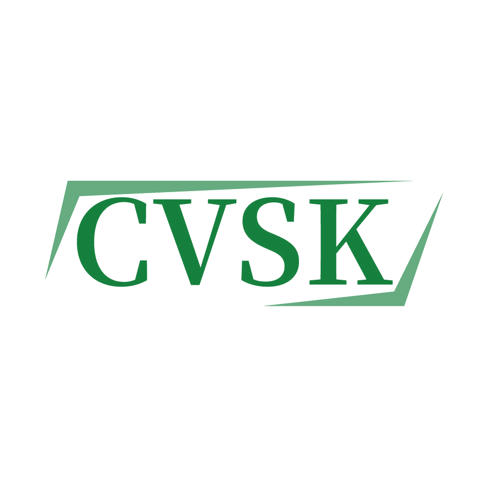 CVSK 第18类皮革皮具 注册号85949163商标图样