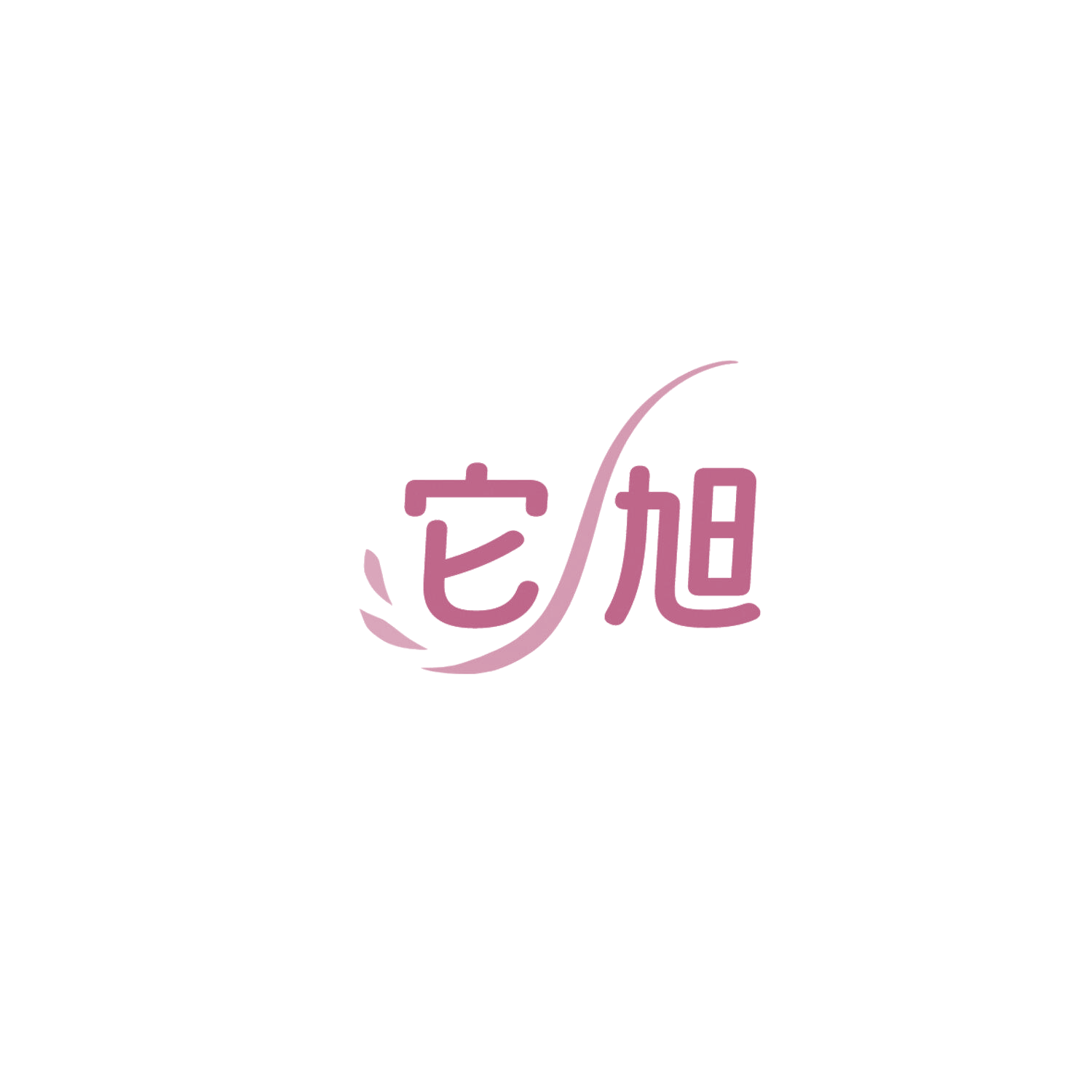 它旭 第35类广告销售 注册号85958076商标图样