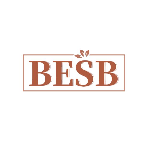 BESB 第25类服装鞋帽 注册号86334149商标图样