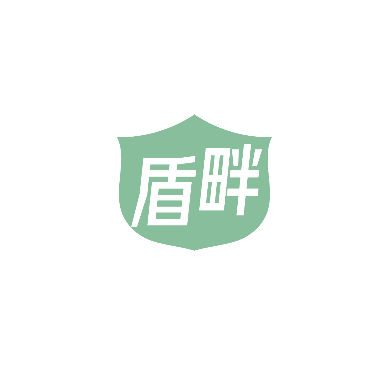 盾畔 第9类科学仪器 注册号86539832商标图样