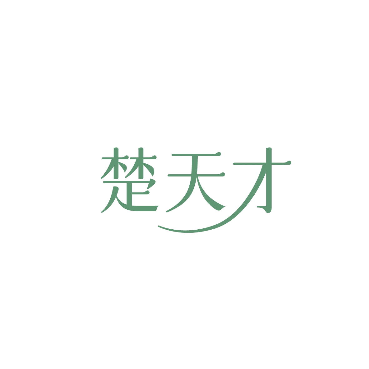 楚天才 第18类皮革皮具 注册号86631008商标图样