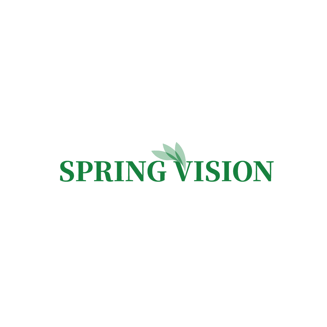 SPRING VISION 第25类服装鞋帽 注册号86823858商标图样