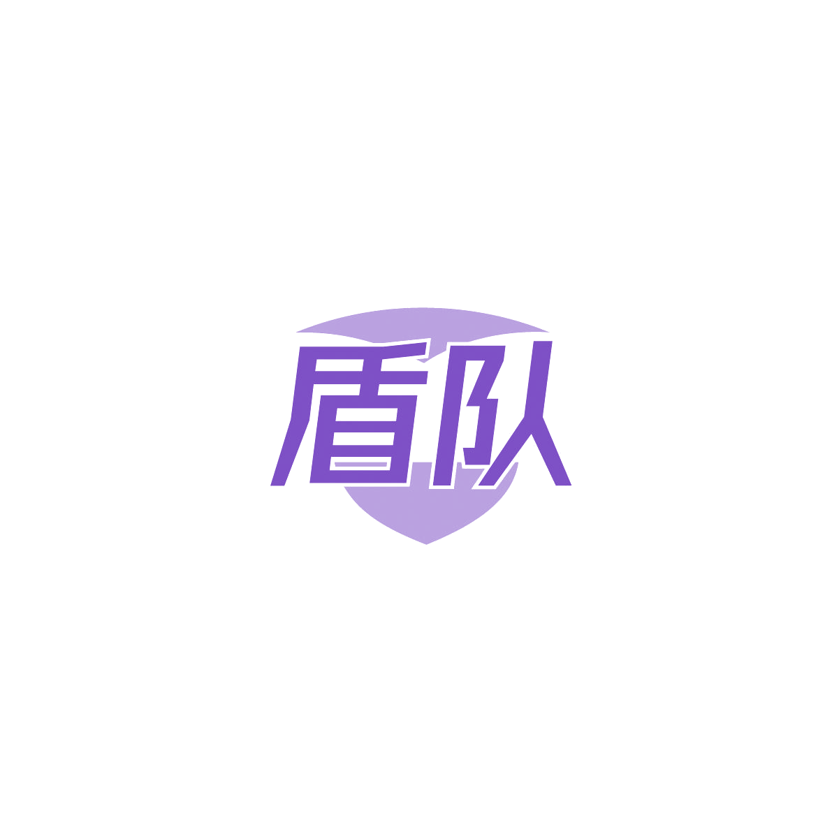 盾队 第6类五金金属 注册号86962061商标图样