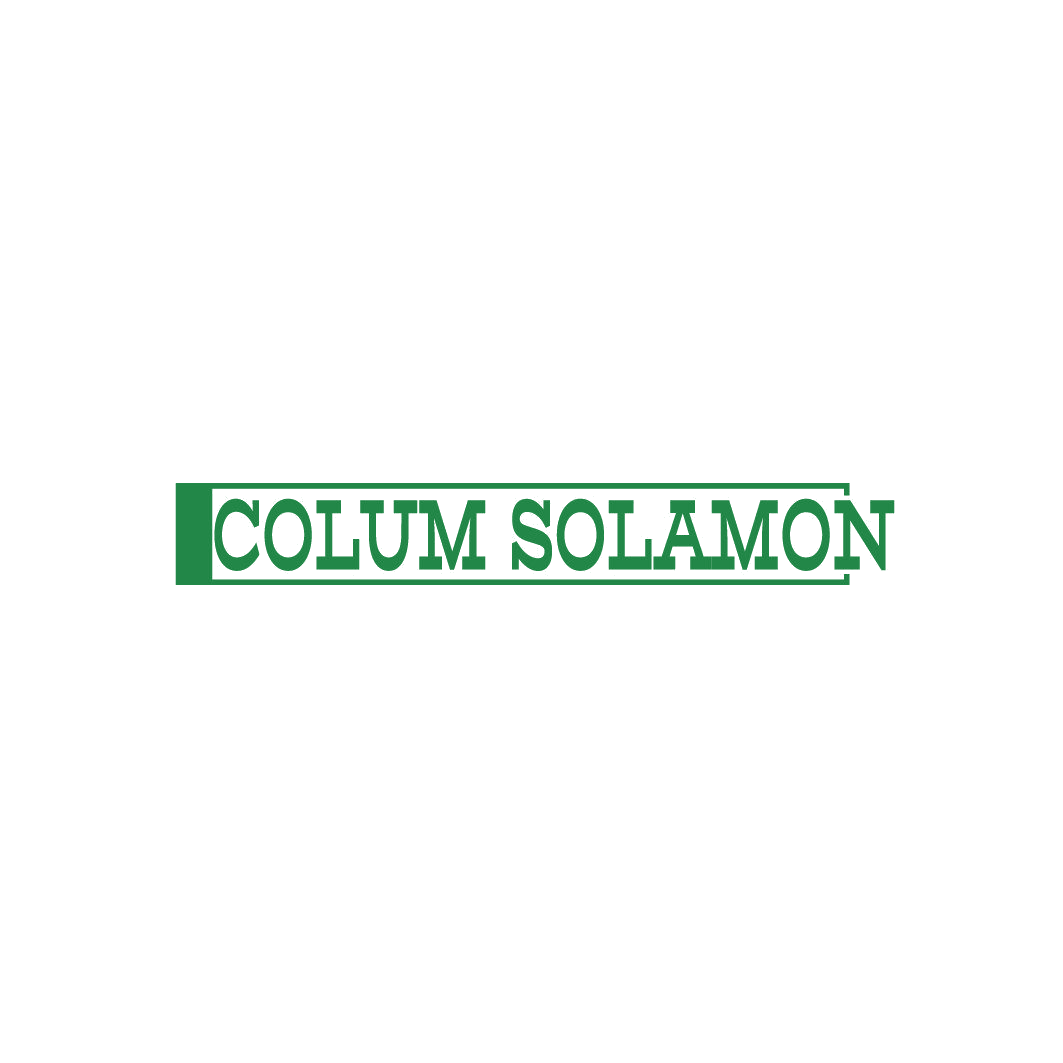 COLUM SOLAMON 第25类服装鞋帽 注册号87023395商标图样