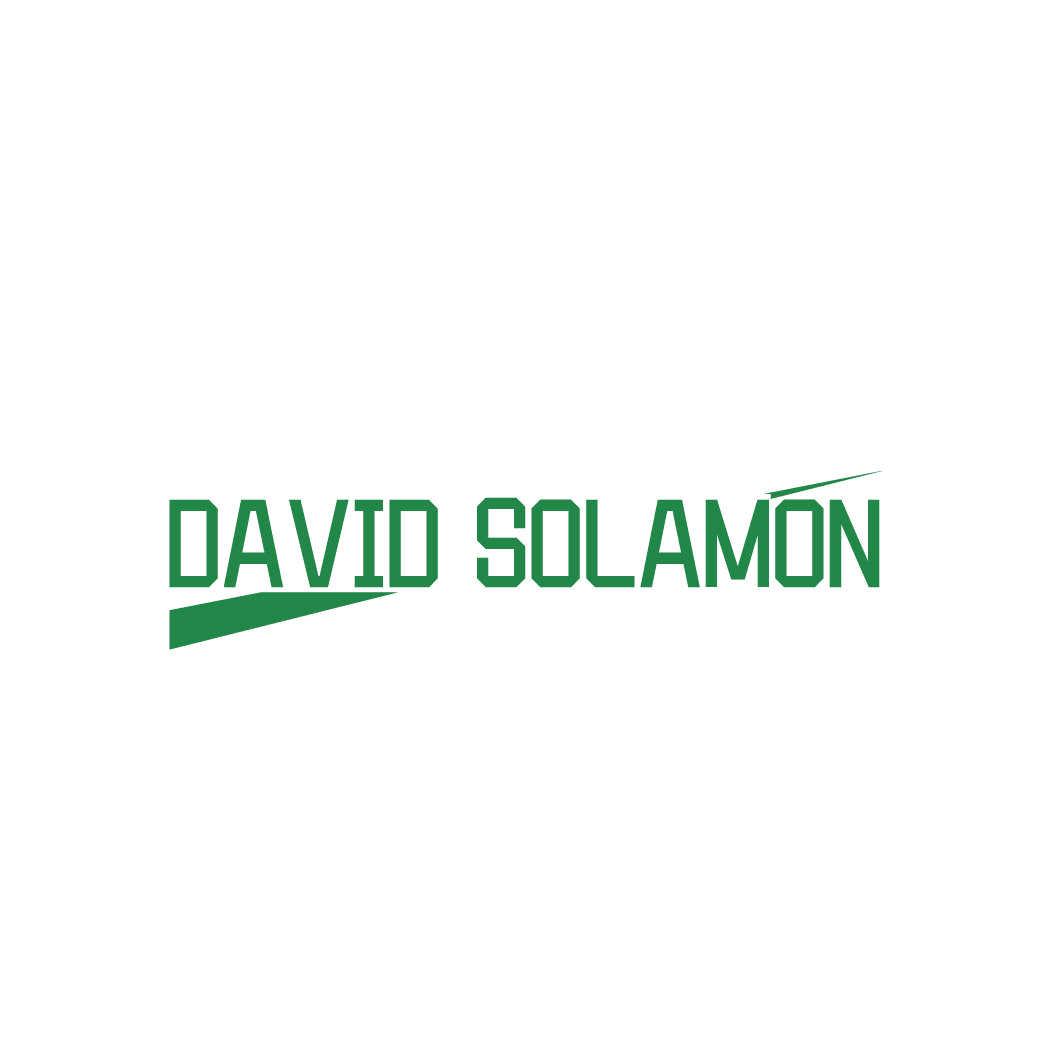 DAVID SOLAMON 第25类服装鞋帽 注册号87032491商标图样