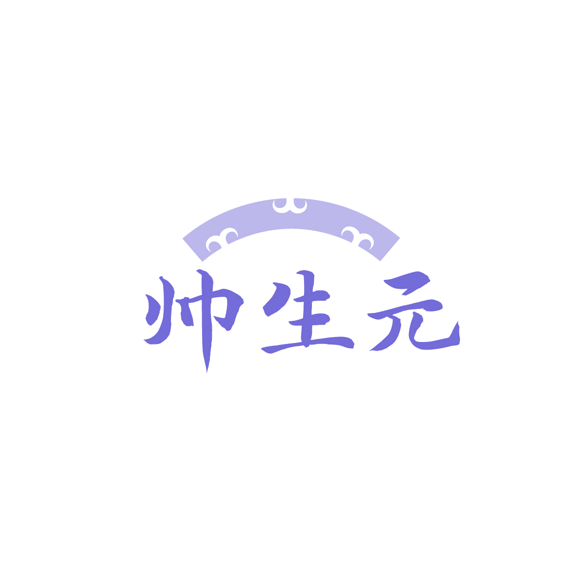 帅生元 第5类医药 注册号87134794商标图样