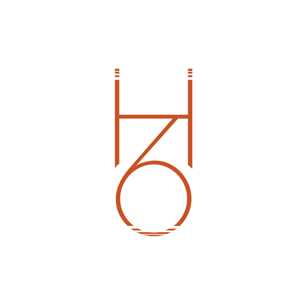H6 第18类皮革皮具 注册号87203241商标图样