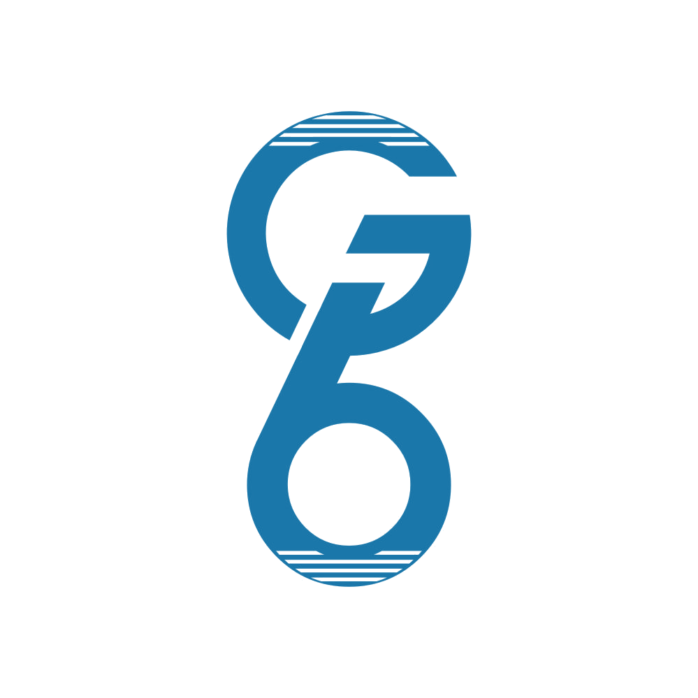 G6 第18类皮革皮具 注册号87213020商标图样