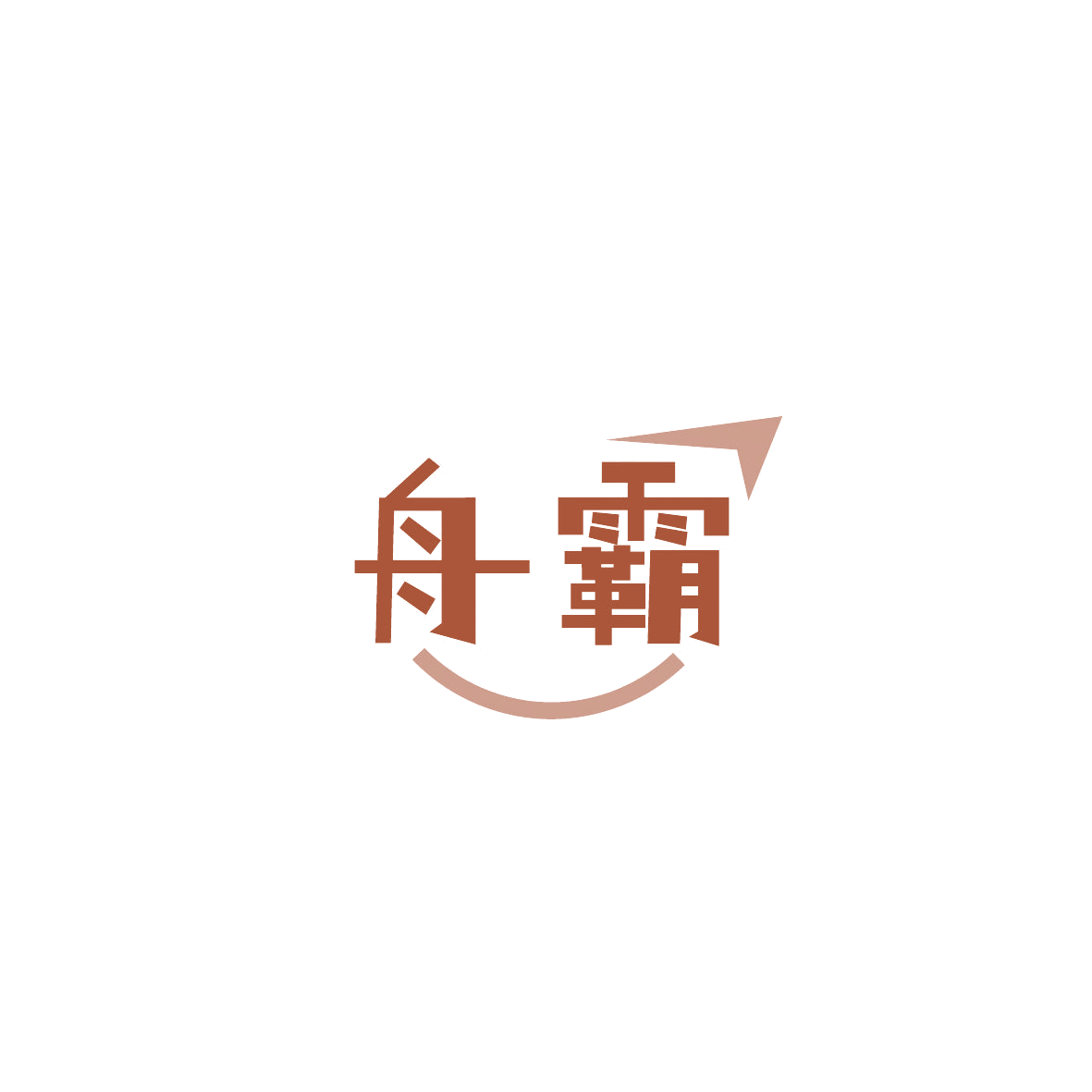 舟霸 第9类科学仪器 注册号87333076商标图样