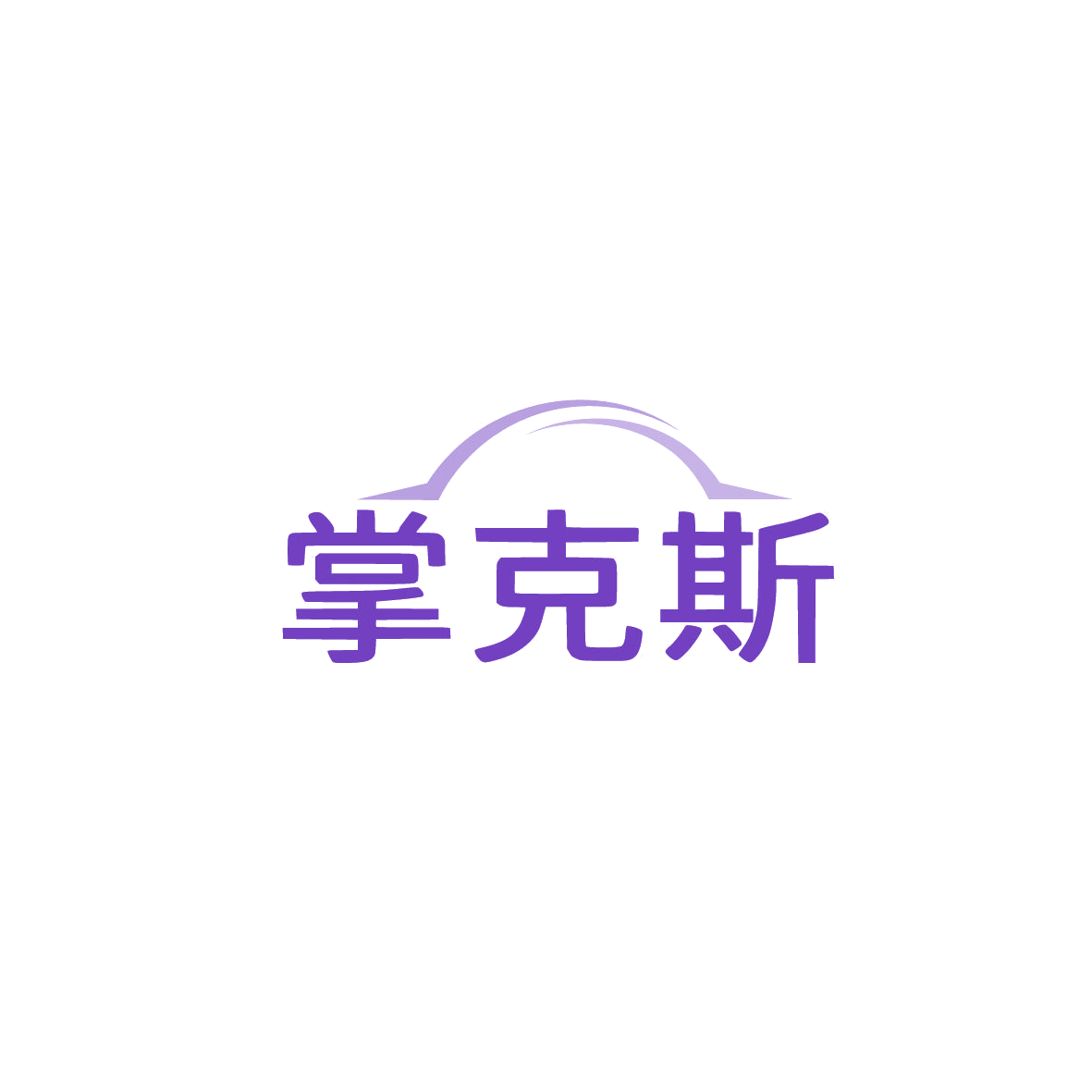 掌克斯 第9类科学仪器 注册号87344796商标图样