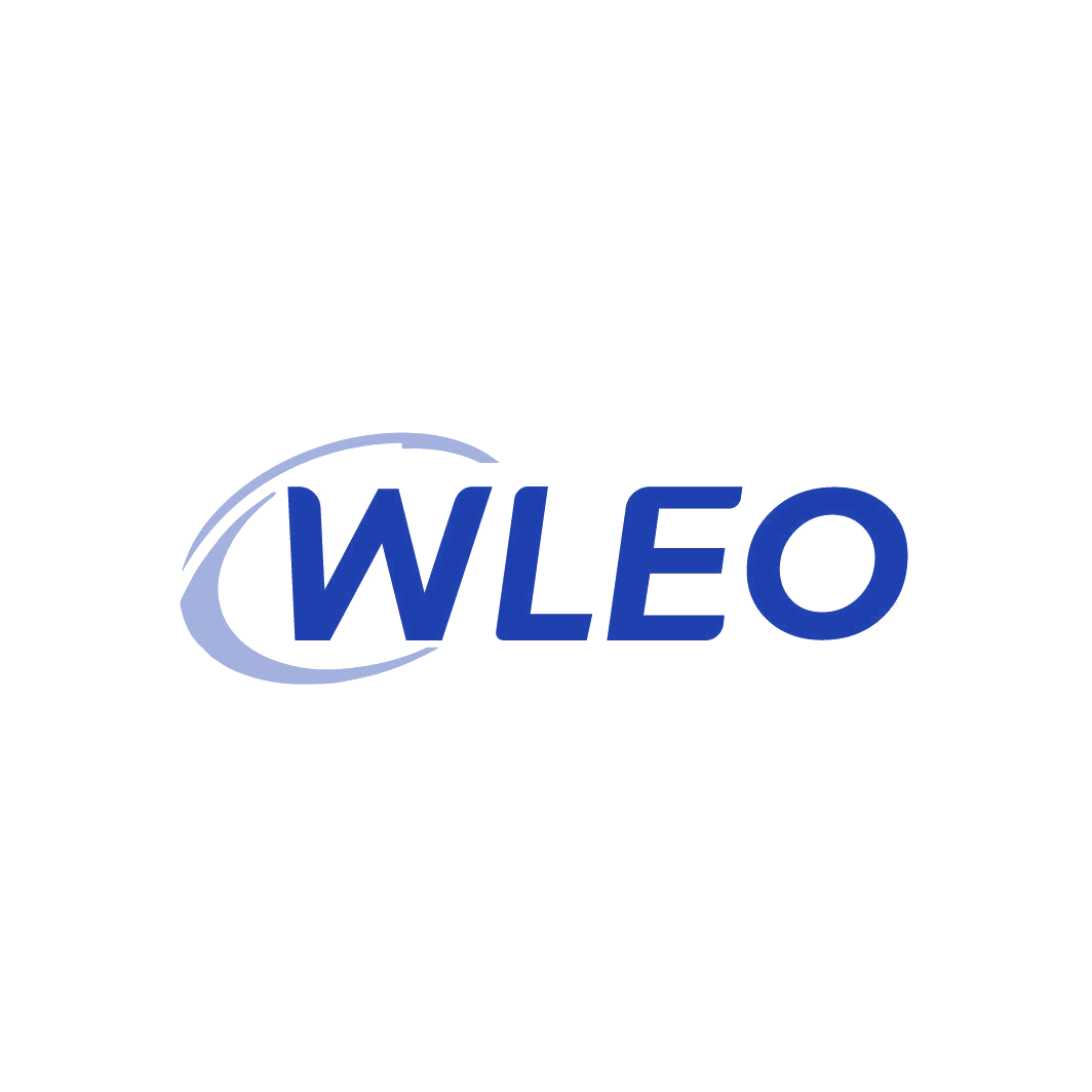 WLEO 第42类科技服务 注册号87349347商标图样