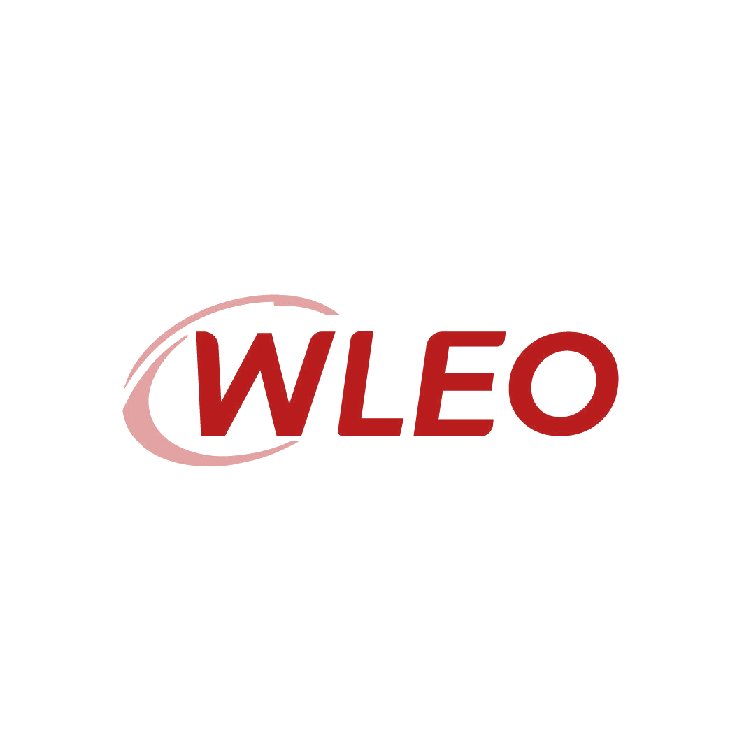 WLEO 第35类广告销售 注册号87351402商标图样