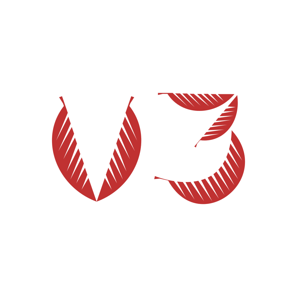 V3 第21类厨房洁具 注册号87358808商标图样