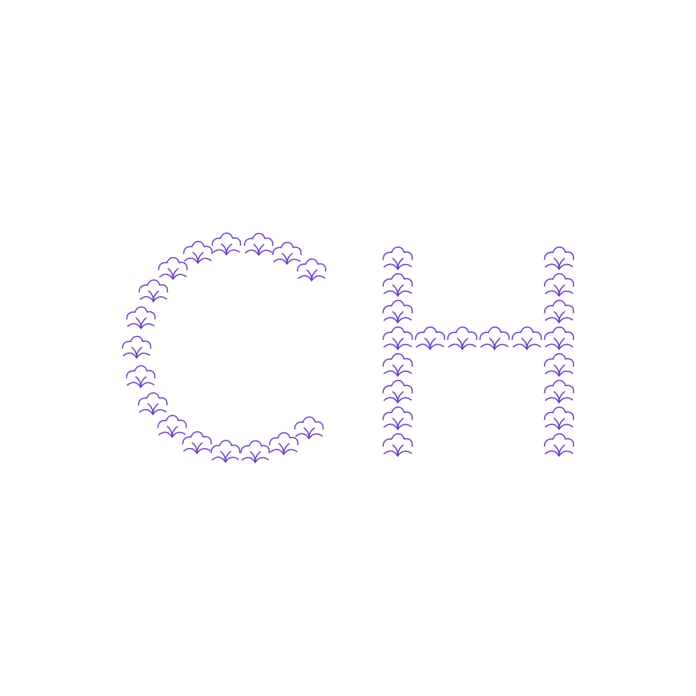 CH 第16类办公用品 注册号87386941商标图样