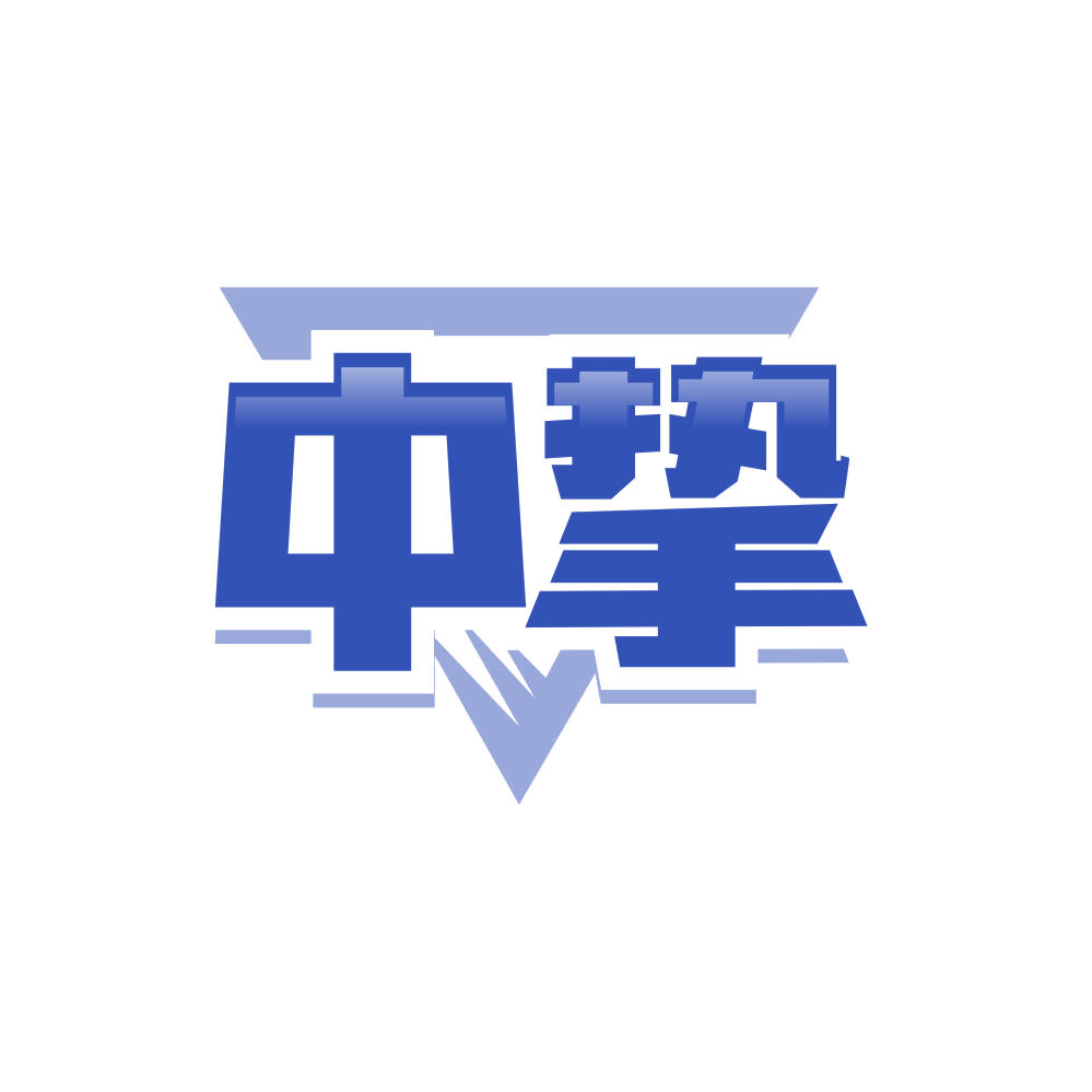 中挚 第45类社会服务 注册号87514013商标图样
