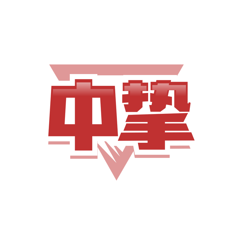 中挚 第22类绳网袋篷 注册号87524377商标图样