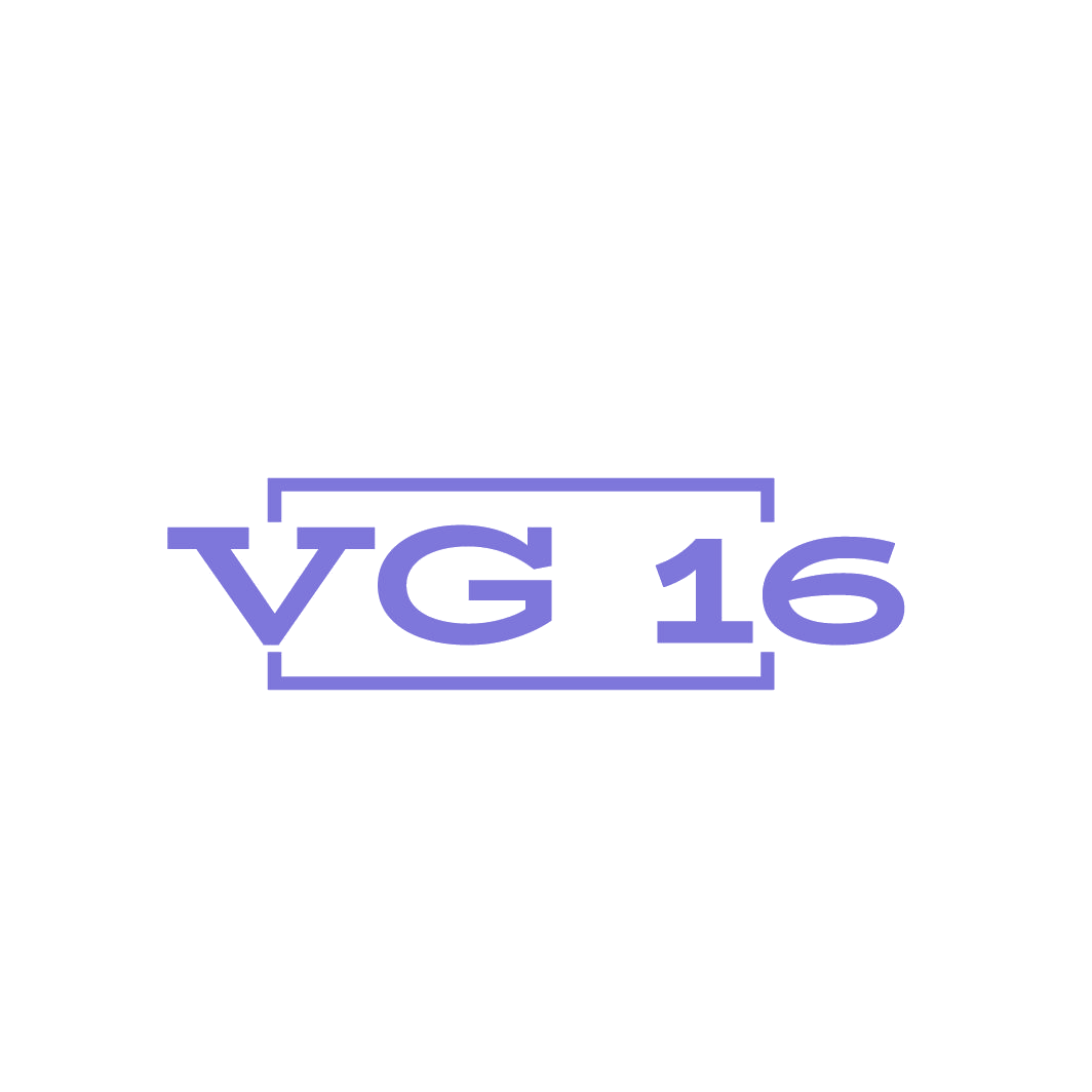 VG 16 第25类服装鞋帽 注册号87735500商标图样