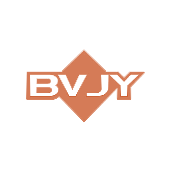 BV JY 第25类服装鞋帽 注册号87766779商标图样