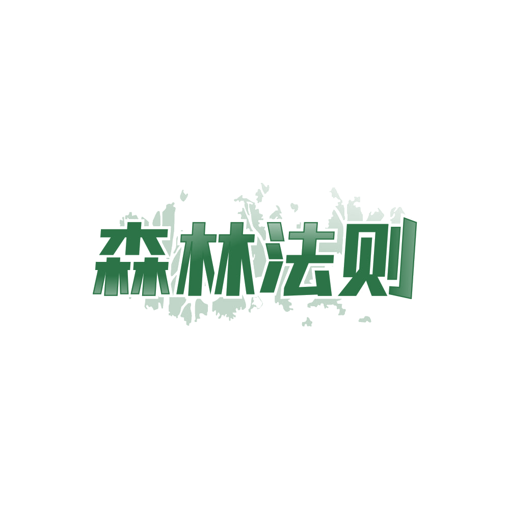 森林法则 第19类建筑材料 注册号87851126商标图样