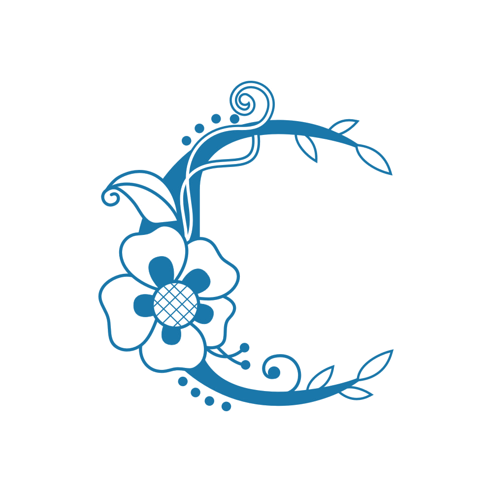 图形 第27类地毯席垫 注册号88013647商标图样