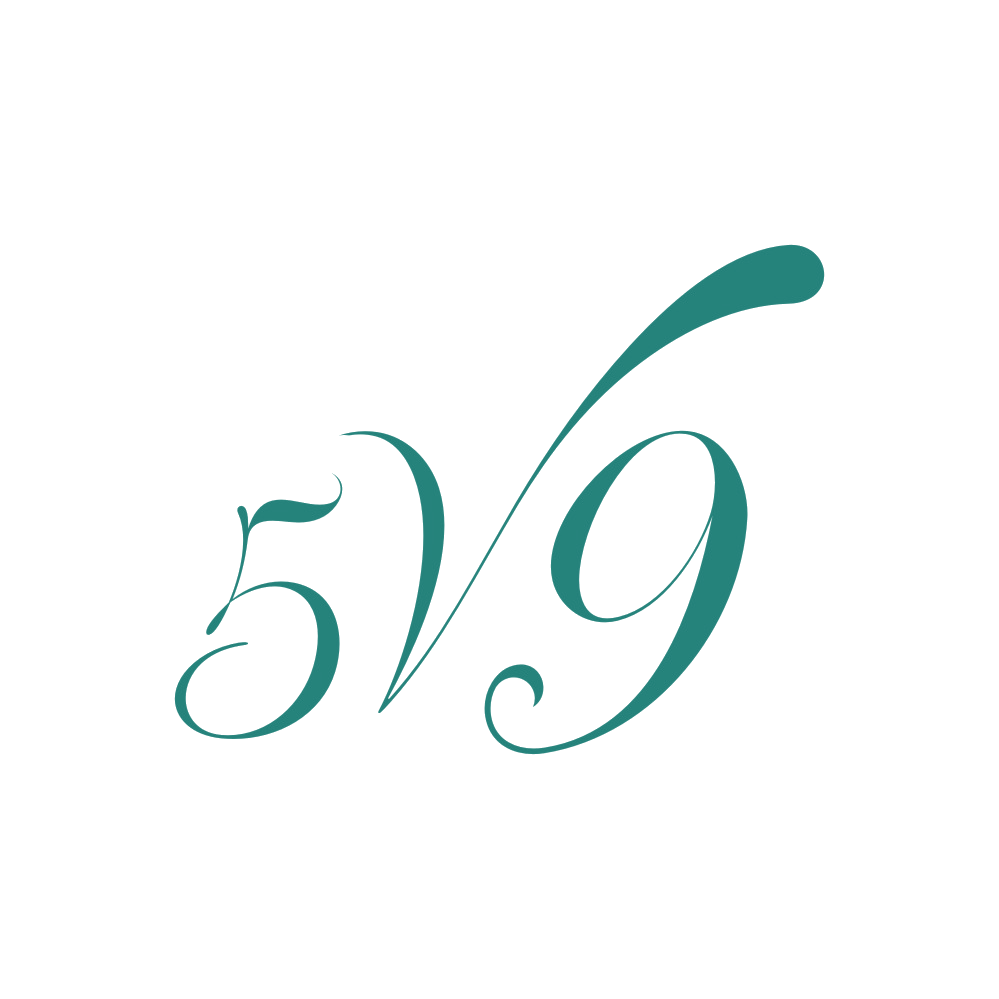 5V9 第25类服装鞋帽 注册号88250184商标图样
