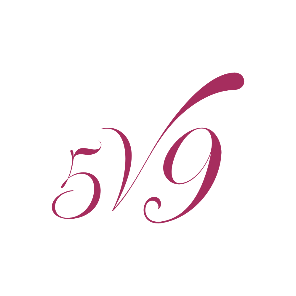 5V9 第32类啤酒饮料 注册号88250185商标图样