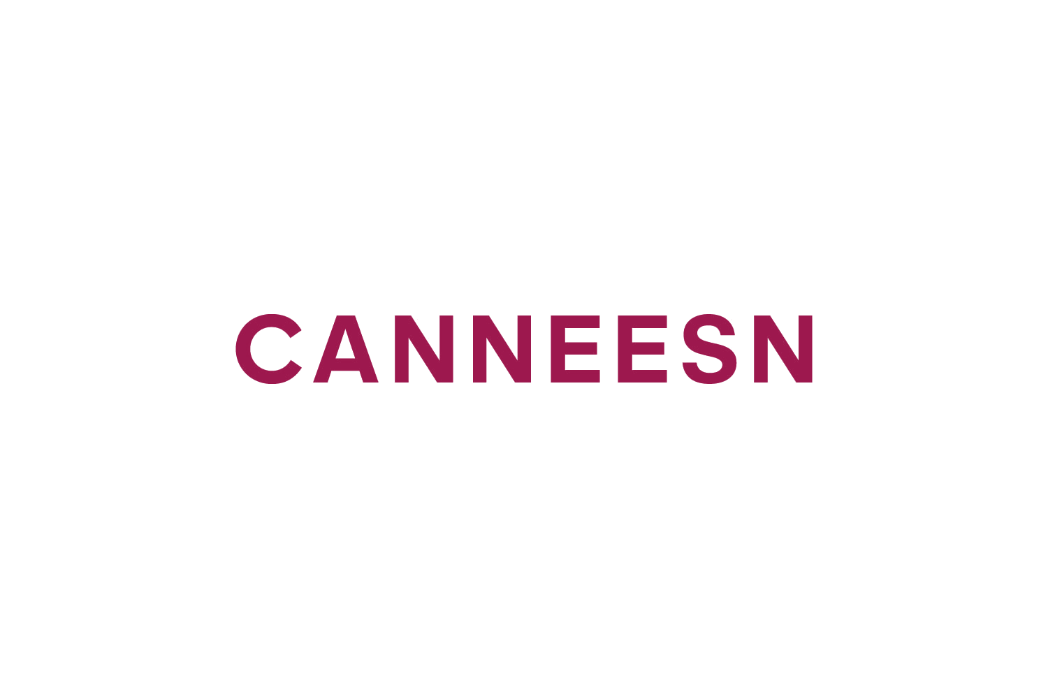 CANNEESN 第25类服装鞋帽 注册号88486918商标图样