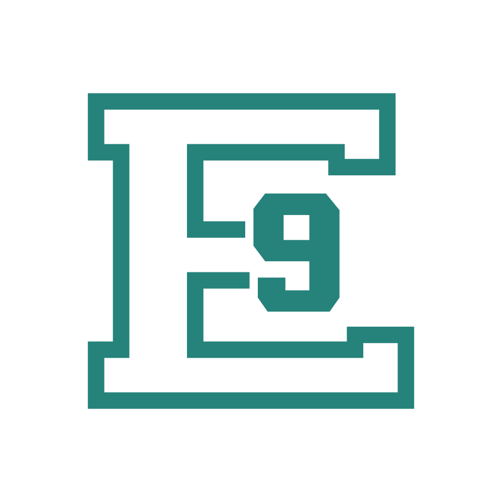 E9 第18类皮革皮具 注册号88499848商标图样