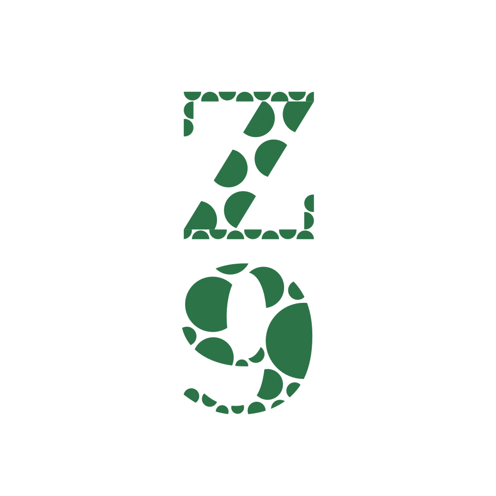Z9 第35类广告销售 注册号88545071商标图样